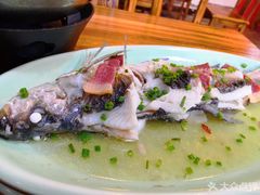 -全乐鱼馆·淳牌有机鱼直营店