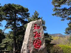 -香山公园