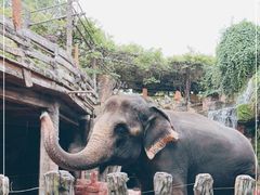 -长鹿旅游休博园
