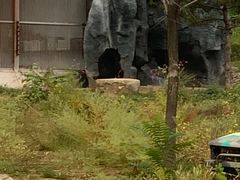 -太原动物园