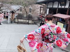 -有栖山 清光院 清水寺