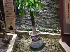 -合和大唐(福永店)