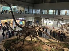 -自贡恐龙博物馆