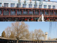 -东方巨龟苑景区