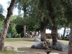 -三亚西岛海洋文化旅游区
