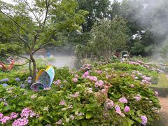 -上海共青森林公园