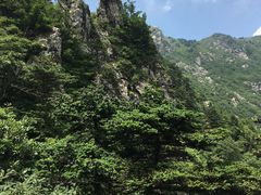 -牛背梁国家森林公园