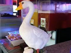 -营信刘罗锅铁锅炖(建华店)