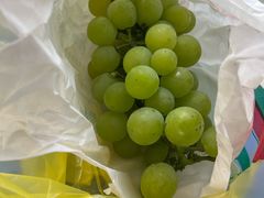 -马陆小张葡萄园农家乐