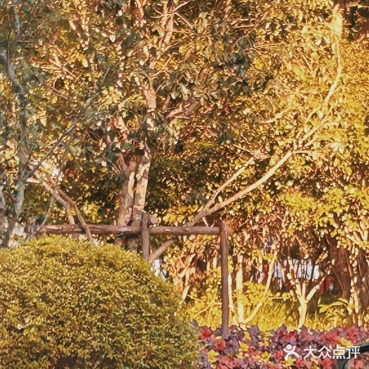 🌿周浦公园新晋打卡地|一尺花园玻璃屋