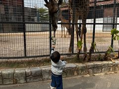 -灵玲国际马戏城