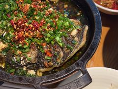 -聚鑫朋酸菜肥肠(文艺路口店)
