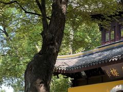 -西园戒幢律寺