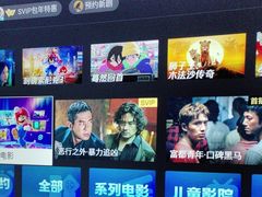 -臻享足道·HIFI影院足疗SPA(成华店)