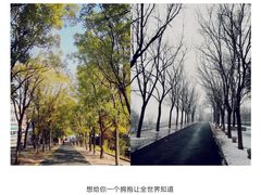 -白水寺森林公园