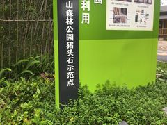 -火炉山森林公园