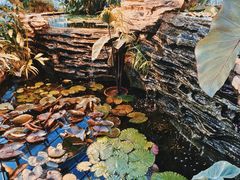 -国家植物园南园