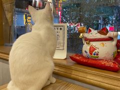 -正南齐北·老街糯米团(洪崖洞店)