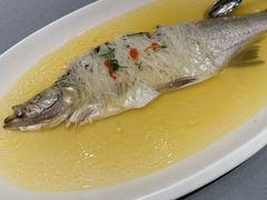 传统清蒸大白鱼-淮扬府(安定门店)