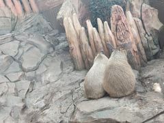 -杭州长乔极地海洋公园