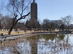-西海子公园