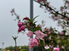 -院士公园