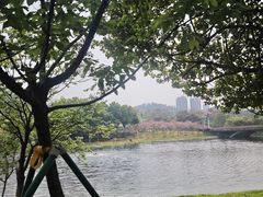 -广州汇华希尔顿逸林酒店