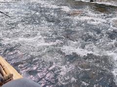 -九曲溪竹筏码头