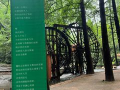 -波尔登森林公园