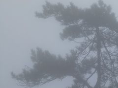-陕西省红河谷森林公园