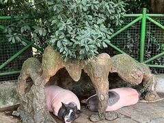 -杭州野生动物世界