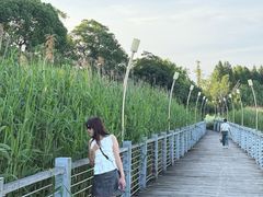 -阳澄湖半岛旅游度假区