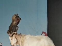 -武汉紫薇都市田园