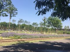 -永定河休闲森林公园