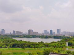 -海珠湖公园