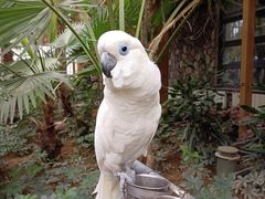 -南宫五洲植物乐园