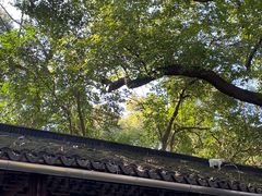 -西园戒幢律寺