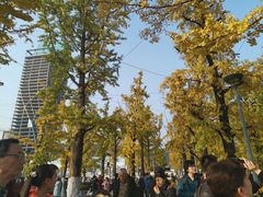 -百林公园-两江幸福广场