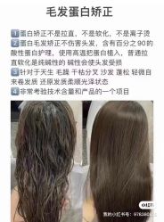 -蚂蚁造型沙龙