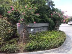 -上海崇明金茂凯悦酒店