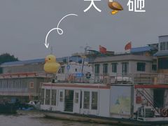 -长洲岛