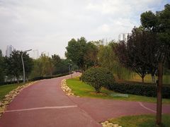 -滨湖塘西河公园