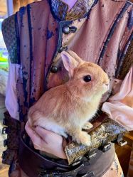 -Zoolung Zoolung动物主题公园(海信广场店)