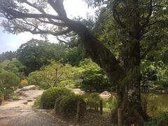 -成田山新胜寺