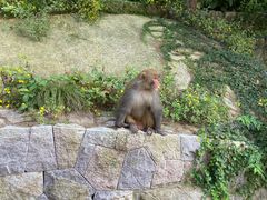 -青岛崂山太清宫