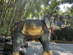 -云南勐巴娜西珍奇园
