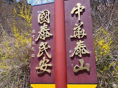 -泰山风景名胜区