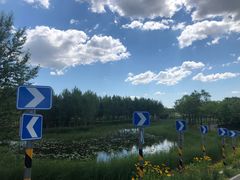 -东郊湿地公园