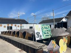 -苏州市吴中区光福窑上花果蜜饯厂