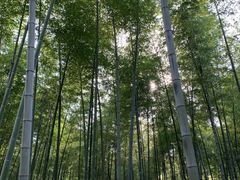 -天目湖御水温泉·度假酒店